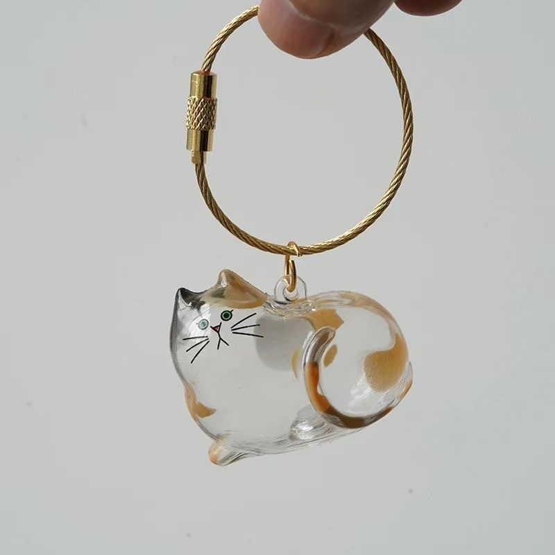 Transparent Cat/Dog Hair Storage Box Charm Commemorative Keychain