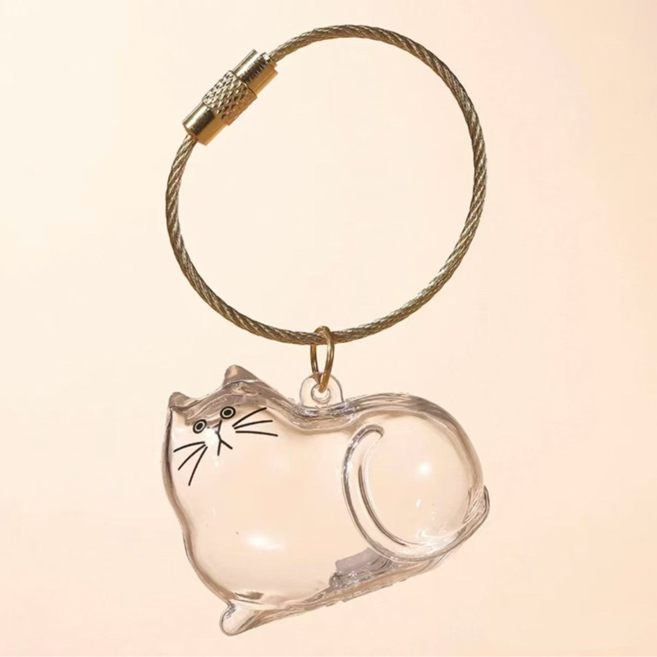 Transparent Cat/Dog Hair Storage Box Charm Commemorative Keychain
