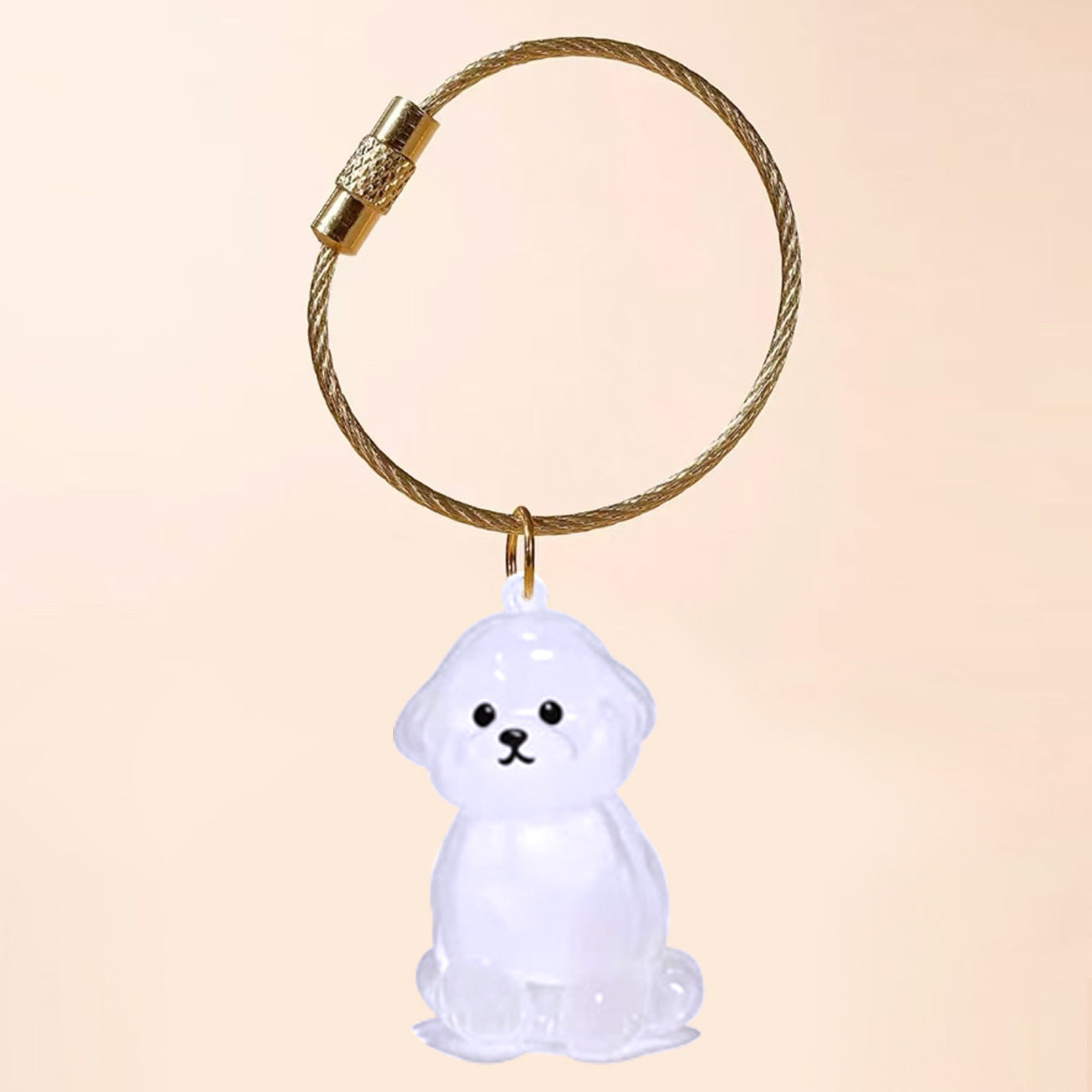 Transparent Cat/Dog Hair Storage Box Charm Commemorative Keychain
