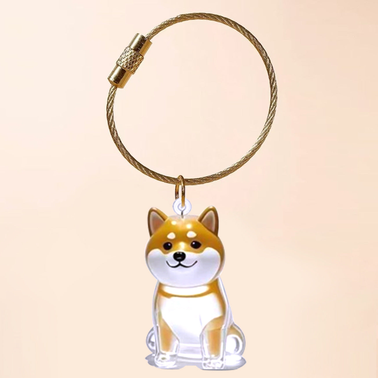 Transparent Cat/Dog Hair Storage Box Charm Commemorative Keychain