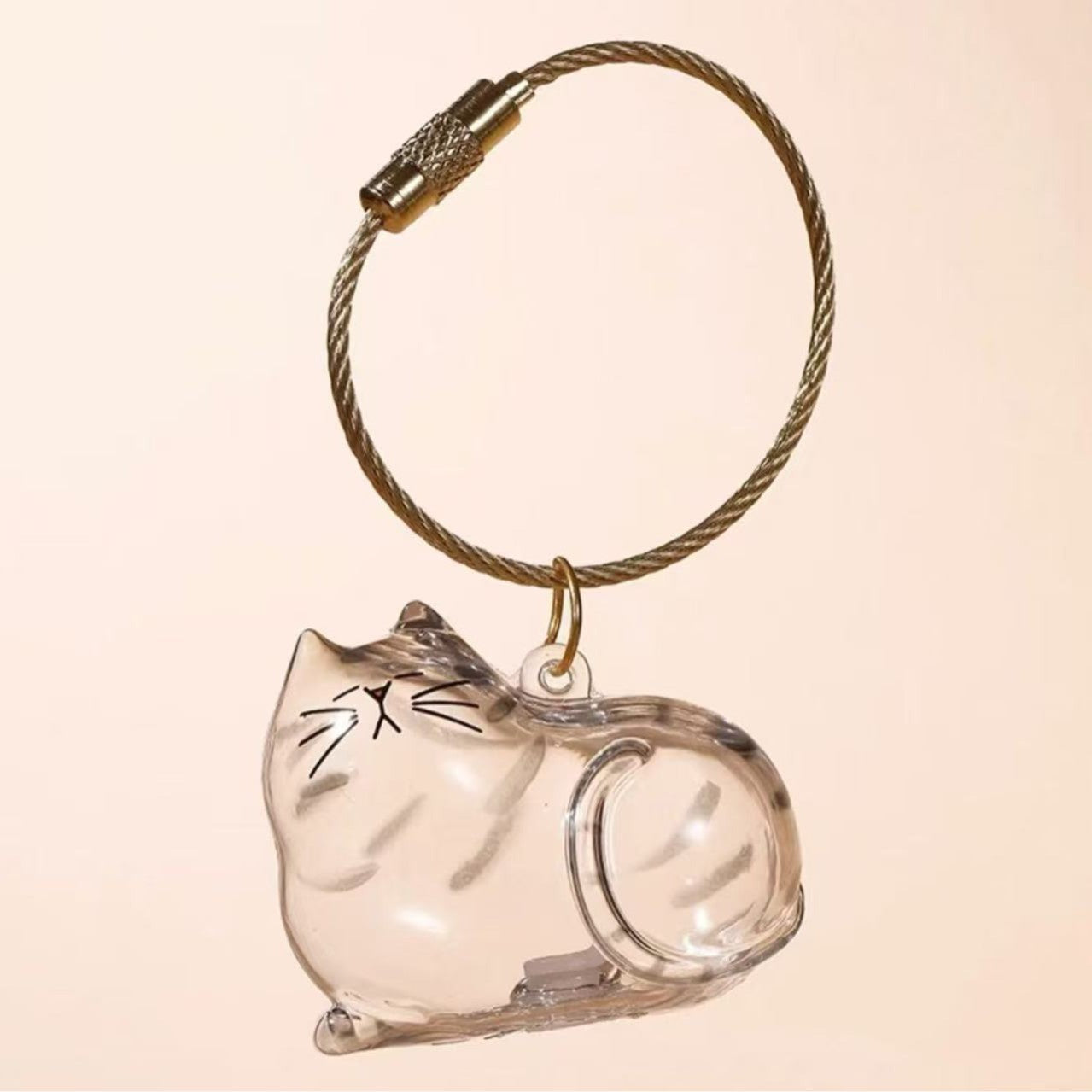 Transparent Cat/Dog Hair Storage Box Charm Commemorative Keychain