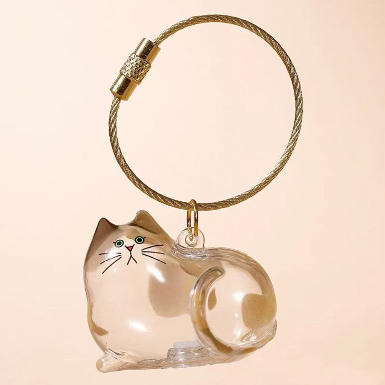 Transparent Cat/Dog Hair Storage Box Charm Commemorative Keychain