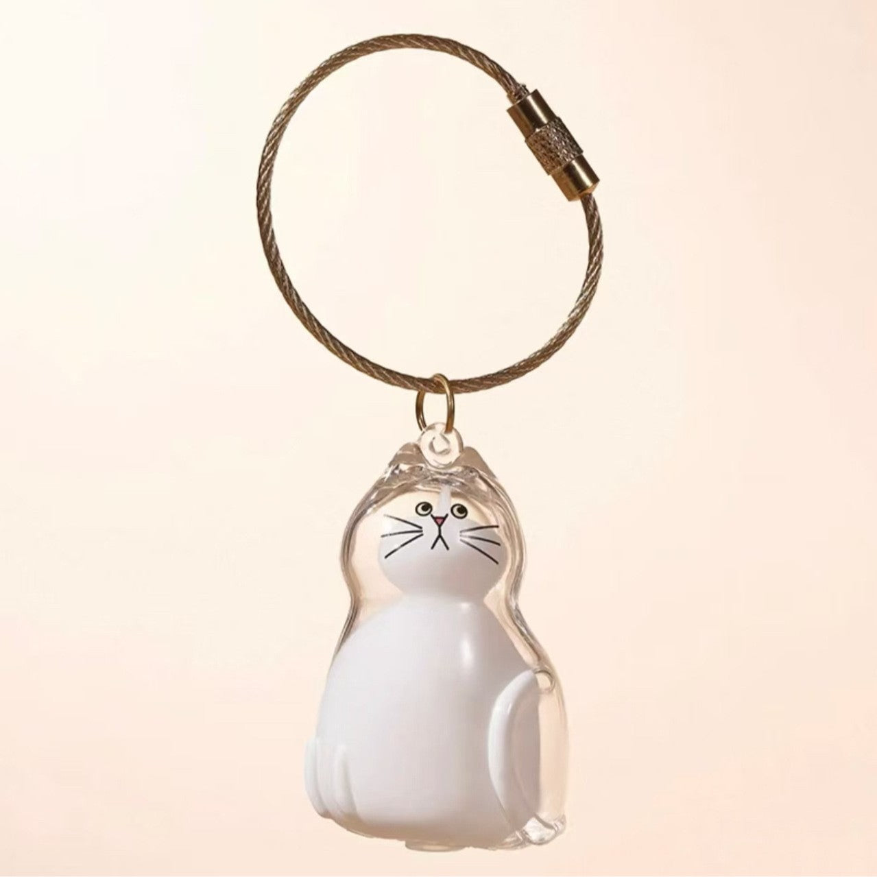 Transparent Cat/Dog Hair Storage Box Charm Commemorative Keychain