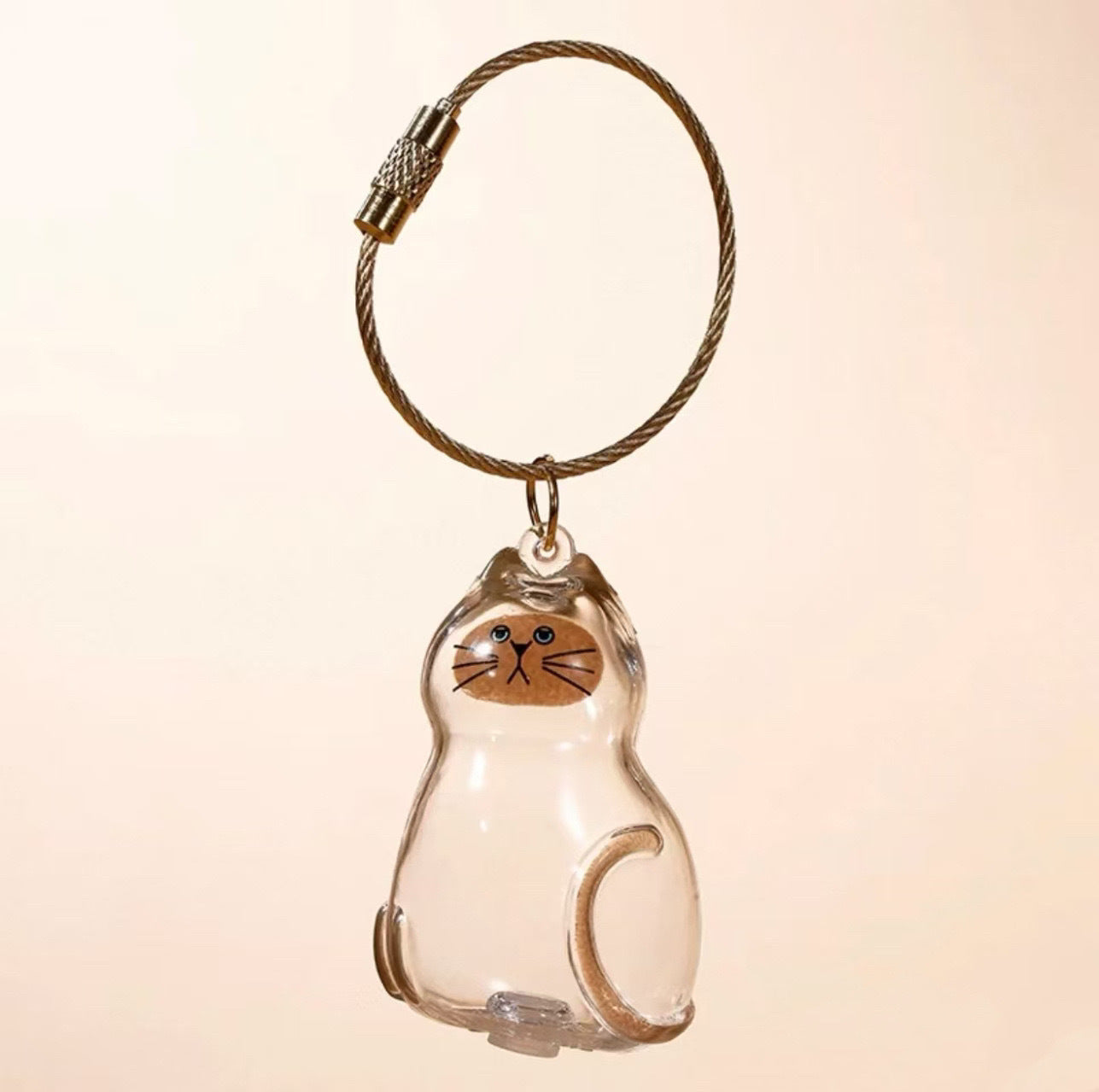 Transparent Cat/Dog Hair Storage Box Charm Commemorative Keychain