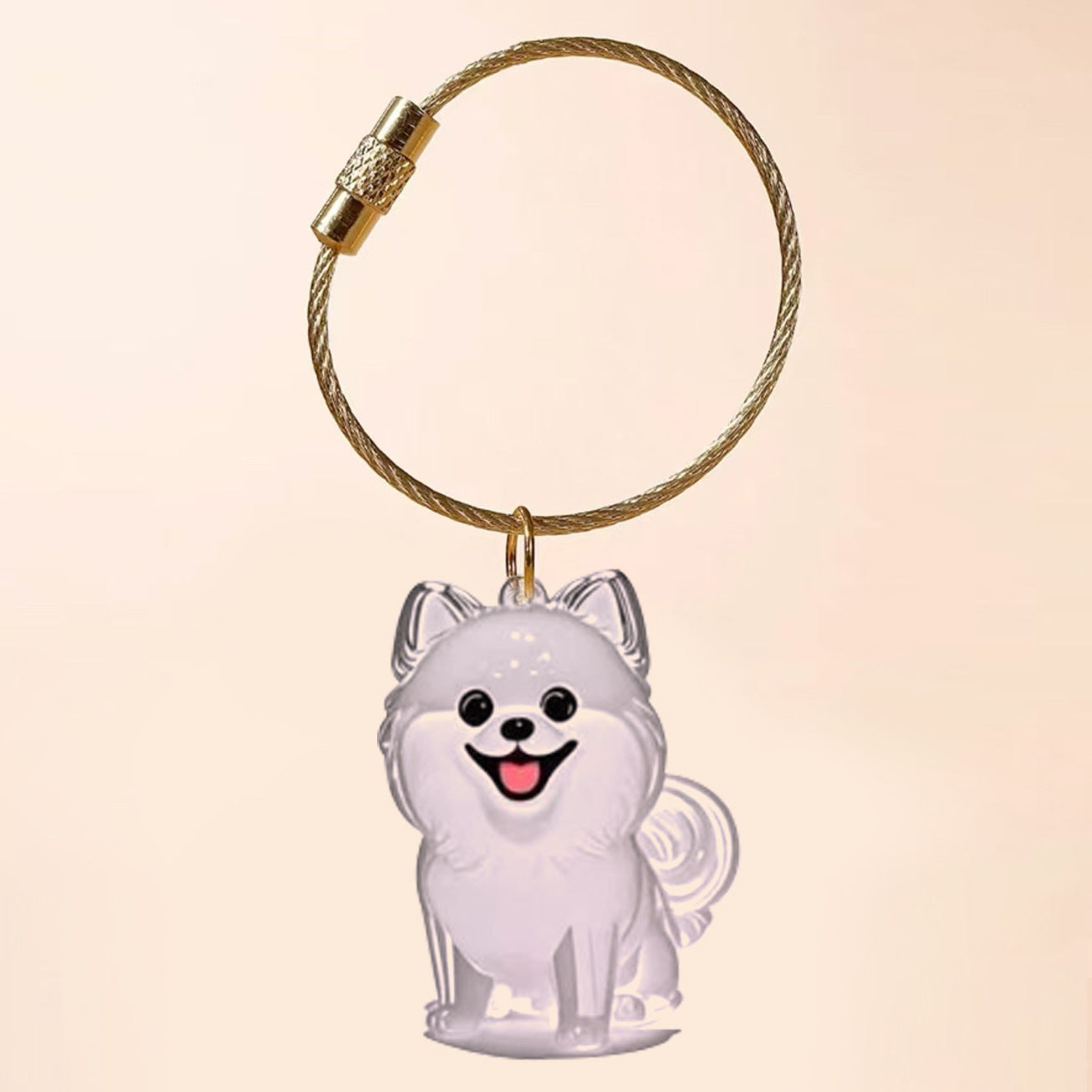 Transparent Cat/Dog Hair Storage Box Charm Commemorative Keychain