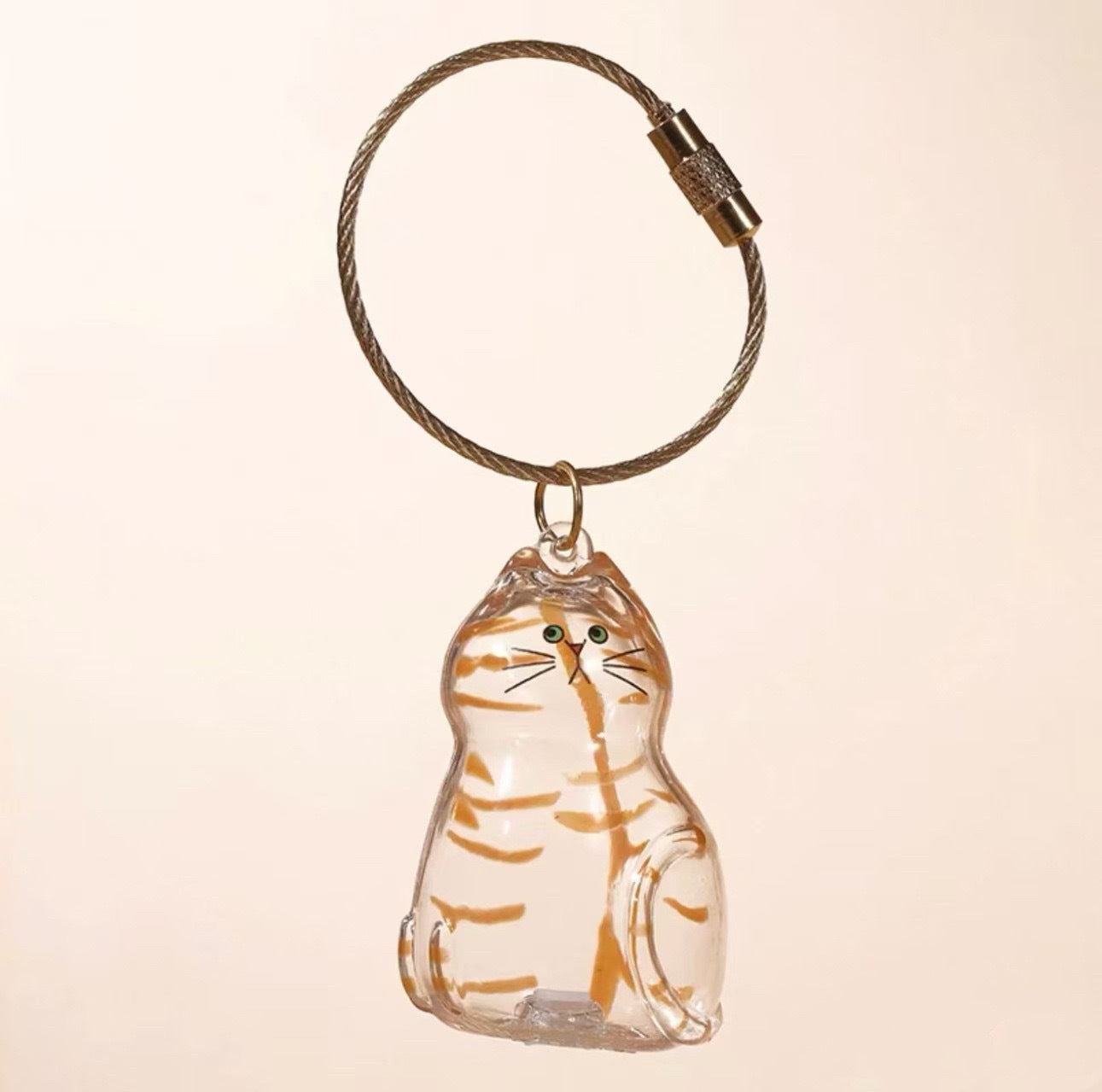 Transparent Cat/Dog Hair Storage Box Charm Commemorative Keychain