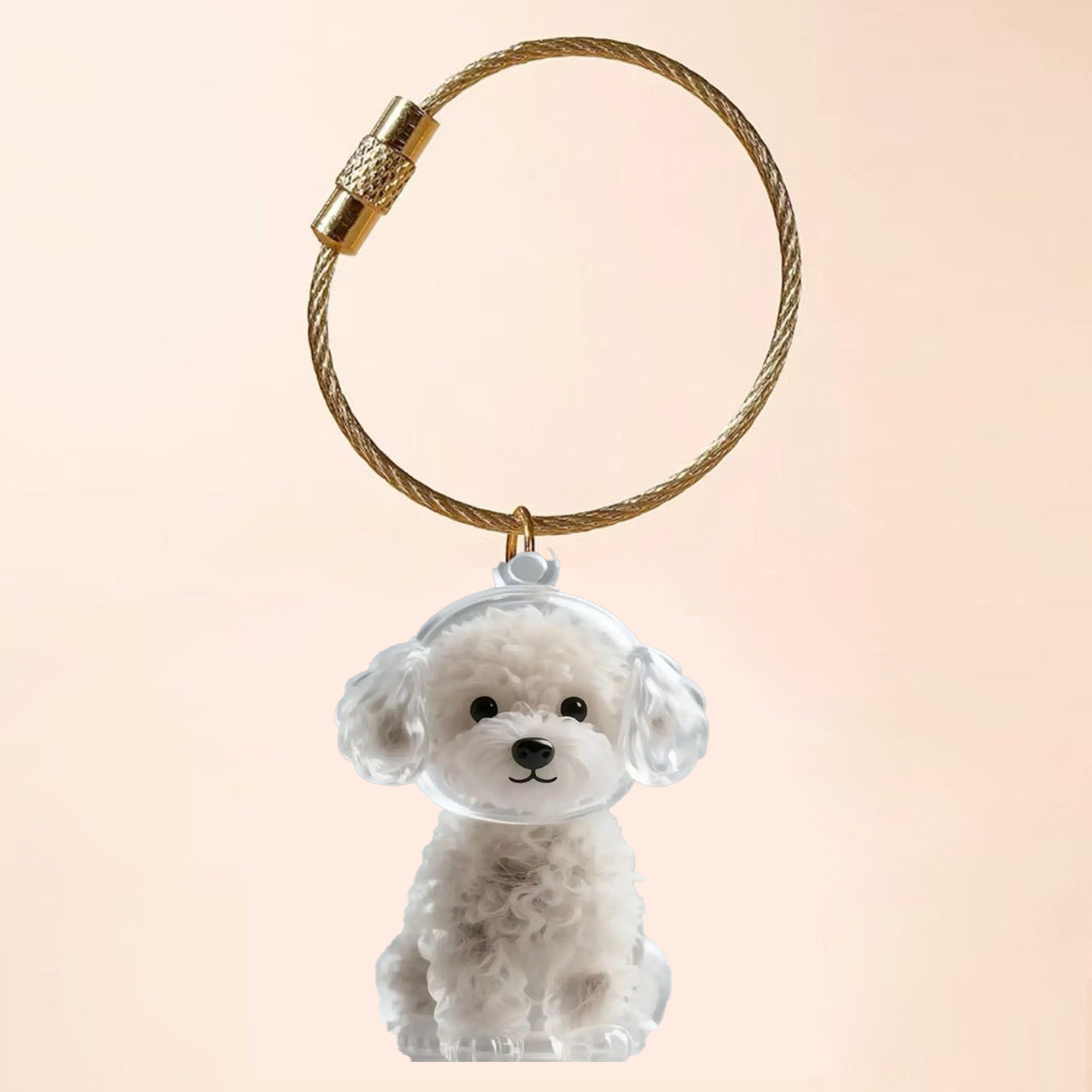 Transparent Cat/Dog Hair Storage Box Charm Commemorative Keychain