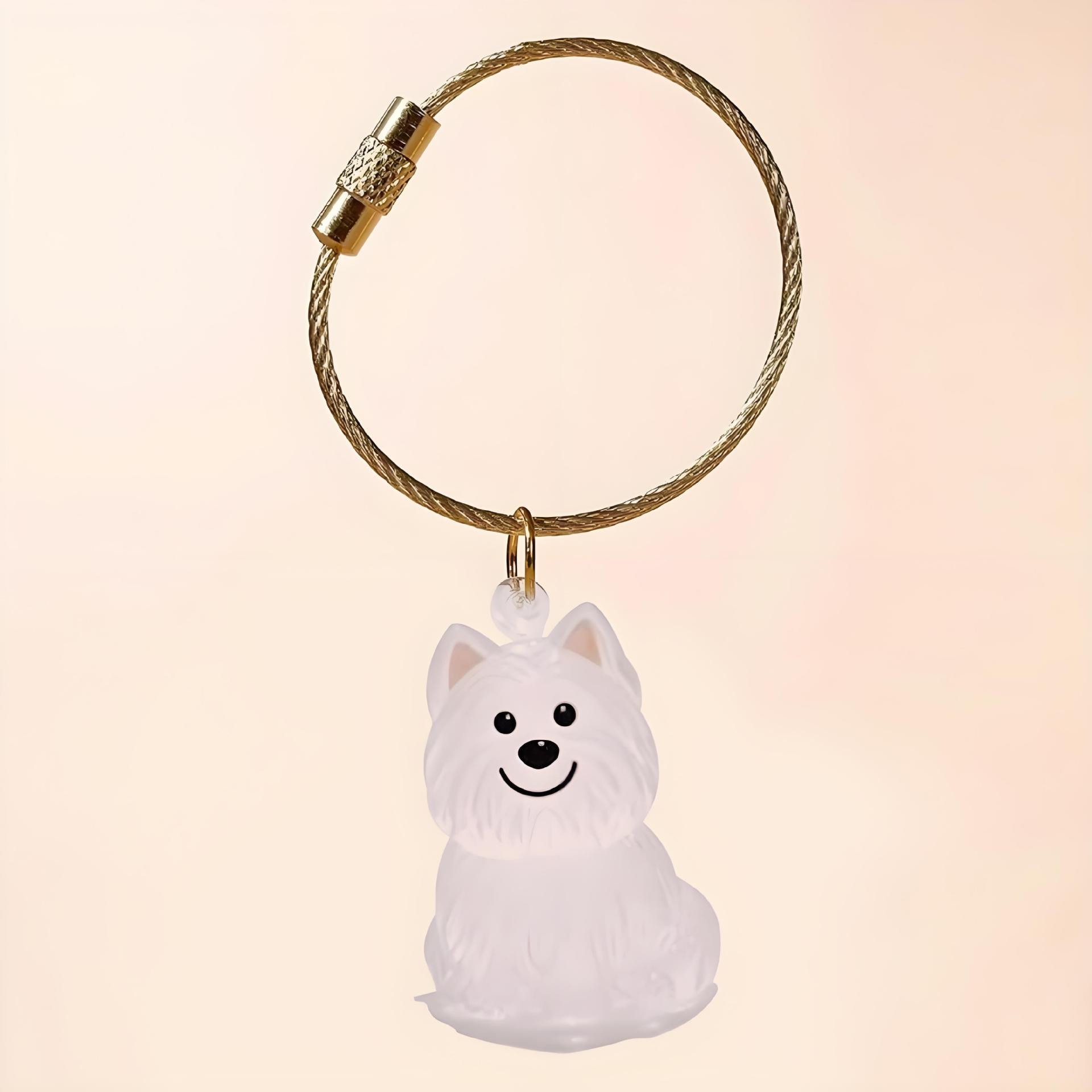 Transparent Cat/Dog Hair Storage Box Charm Commemorative Keychain