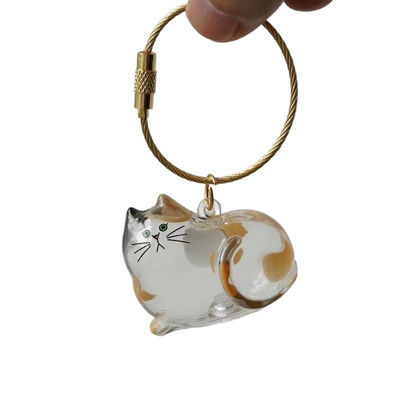 Transparent Cat/Dog Hair Storage Box Charm Commemorative Keychain